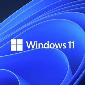 Windows 11 Pro